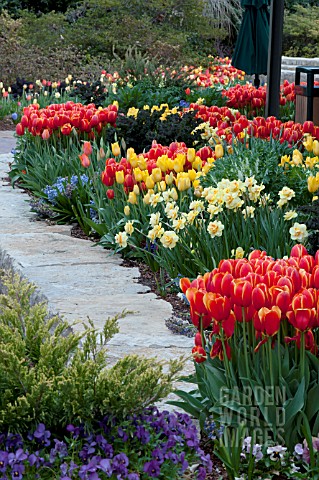 SPRING_BULB_MIXED_BORDER