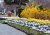 SPRING FLOWER BORDER