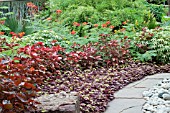 TROPICAL BORDER PLANTING