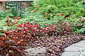 TROPICAL BORDER PLANTING