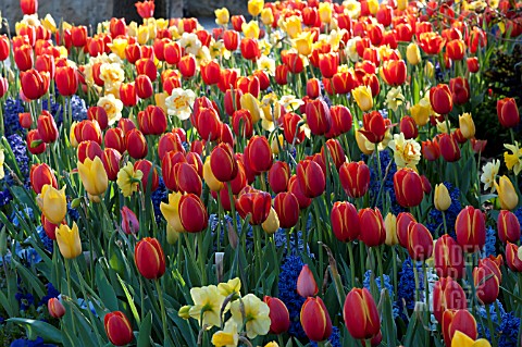 SPRING_BULB_MIX