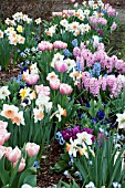 SPRING BULB MIX