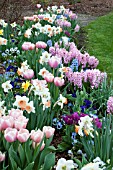 SPRING BULB MIX