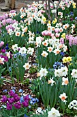 SPRING BULB MIX