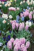 SPRING BULB MIX