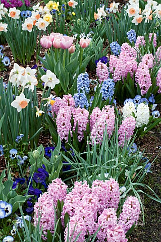 SPRING_BULB_MIX