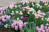 SPRING BULB MIX