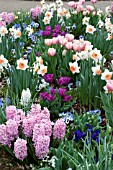 SPRING BULB MIX