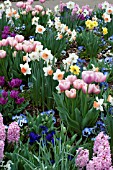 SPRING BULB MIX