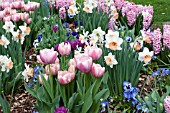 SPRING BULB MIX