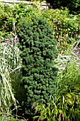 TAXUS MEDIA FLUSHING