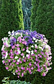 HANGING BASKET