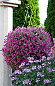 HANGING BASKET