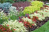 MIXED BORDER PLANTING