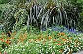 MIXED BORDER PLANTING