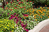 MIXED BORDER PLANTING