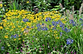 MIXED PERENNIAL BORDER PLANTING