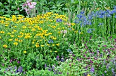 MIXED PERENNIAL BORDER PLANTING