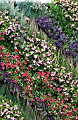 WALL PLANTING