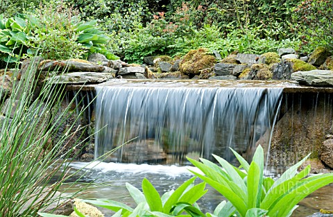 WATER_FEATURE