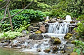 WATER FEATURE