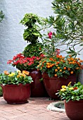 PATIO, CONTAINER SCENE