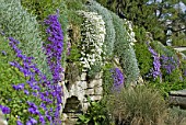 Flowers growing on stone wall