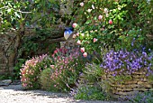 Campanula, Aubrieta, Dianthus and Helianthemum in flower in a border