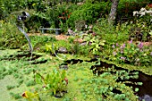 Pond in Garden of Panrees - Vosges France