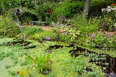 Pond_in_Garden_of_Panrees__Vosges_France