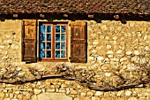 Wisteria twisted on old house - Isle-Cremieu France