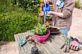 Making of a flowered hanging basket in a garden