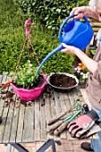 Making of a flowered hanging basket in a garden