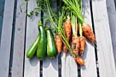 Harvest of zucchini and carrots in a garden