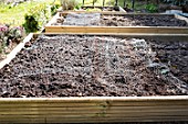 Protective mesh over a squarefoot kitchen garden