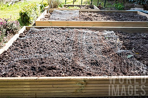 Protective_mesh_over_a_squarefoot_kitchen_garden