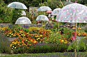 Umbrellas and Tagetes - Alsace France Wesserling Park