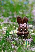 Chocolate bunny and chocolate eggs at Easter in a meadow - France