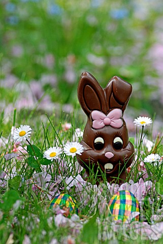 Chocolate_bunny_and_chocolate_eggs_at_Easter_in_a_meadow__France
