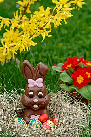 Chocolate_bunny_and_chocolate_eggs_at_Easter_in_a_nest__France