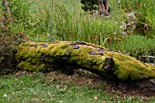 Log pile to encourage biodiversity