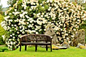 Bench and rockery at Crarae Garden garden, Scotland