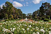 Parque del Rosedal Bosques de Palermo