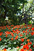 Jardin Botanico Carlos Thays de Buenos Aires