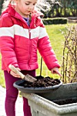 Sowing of scarlet runner bean by a little girl in a garden