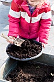 Sowing of scarlet runner bean by a little girl in a garden