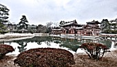 Garden of Byodo-in Buddhist temple in winter, Japan