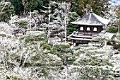 Temple of the Silver Pavilion