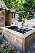 Small pond in an urban garden