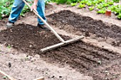 Sowing soil preparation in a kitchen garden